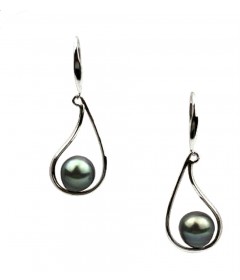 Black Tahitian Pearl Earrings in Sterling Silver-BTE5717
